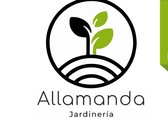 Allamanda Jardinería
