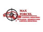 Max Forcel