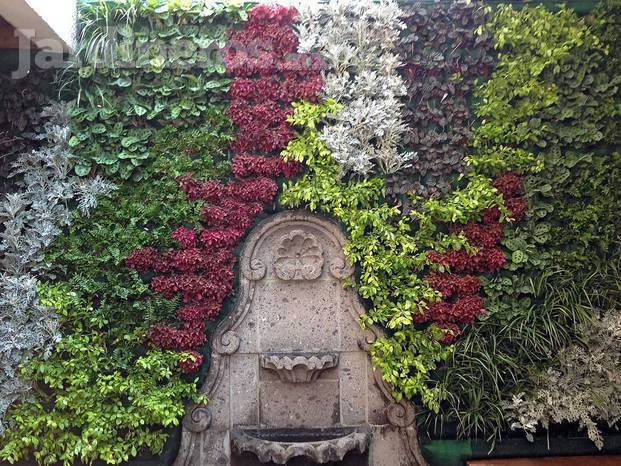 Muro Verde Mexico Florece