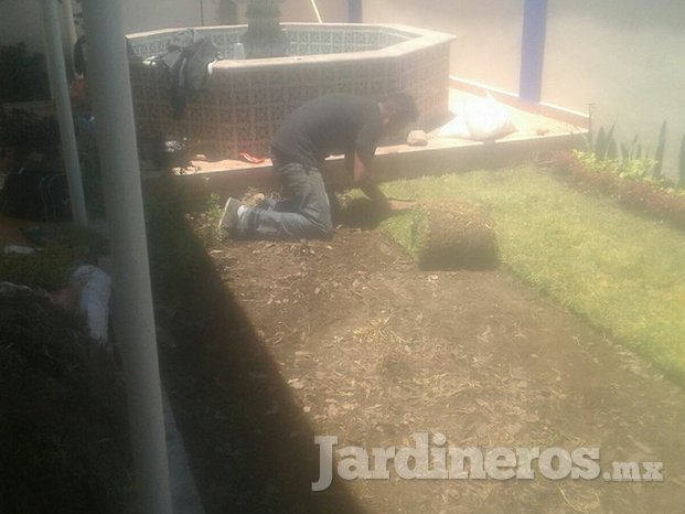 Colocación de pasto en royo y creación de jardín