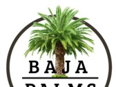 BajaPalms Palmas en la Baja
