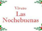 Vivero Las Nochebuenas