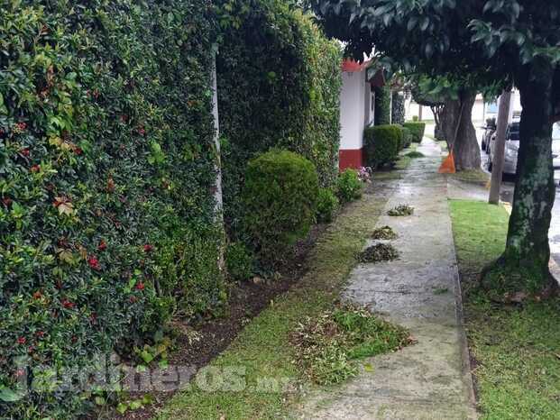 Jardinero, Paisajismo Toluca 13.jpg