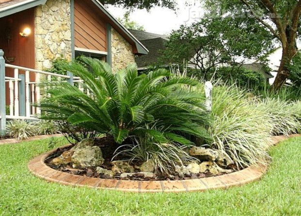 Schmetterlingsgarten (Jardín De Mariposas )