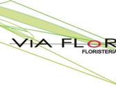 Vía Flor Paisajismo + Floristería