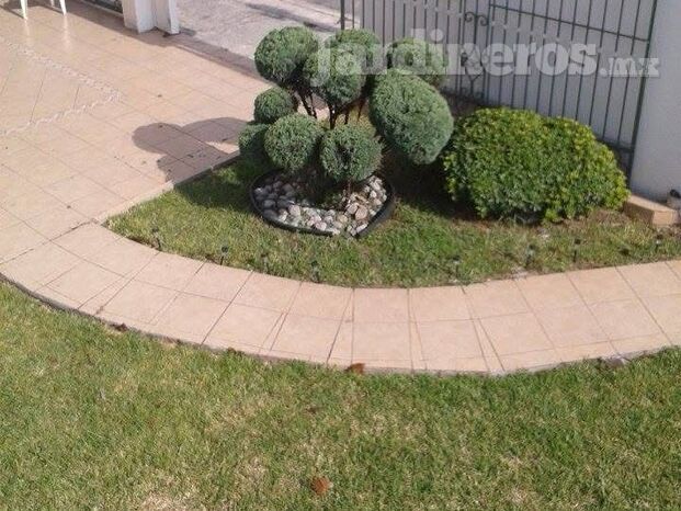 RECORTE DE JARDIN CON DISEÑO PERSONALISADO