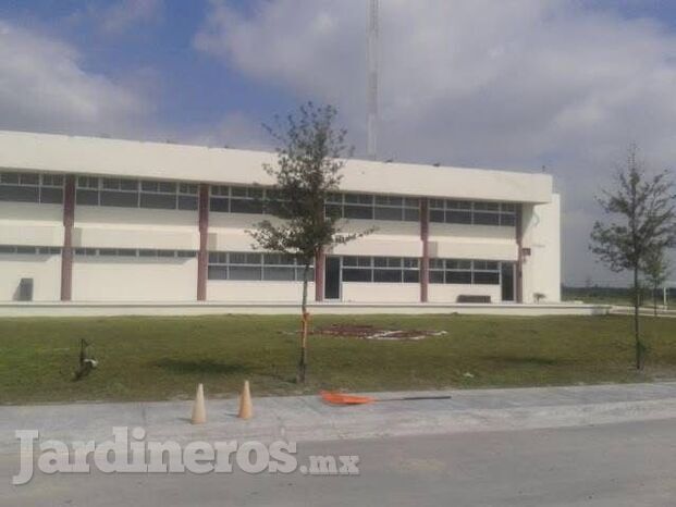 RECORTE DE JARDIN CON TRASLADO DE RESIDUOS INCLUIDO