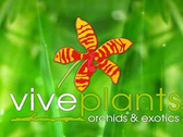 Vive Plants