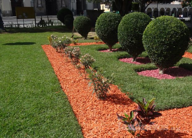 Jardines con corteza de colores