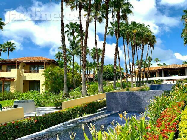 Jardinería para hotel St. Regis, Punta de Mita.