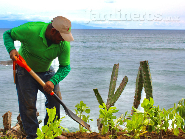 Expertos en jardinería | Puerto Vallarta