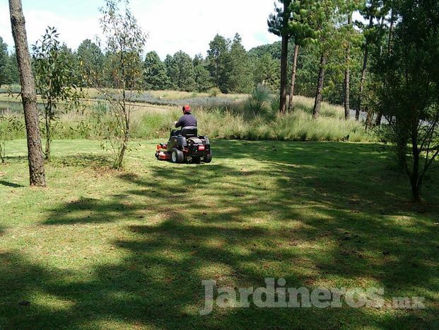 Cuidado y Mantenimiento de Áreas Verdes