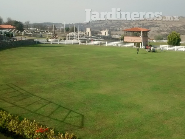 JARDINERIA Y CONTROL DE PLAGAS 