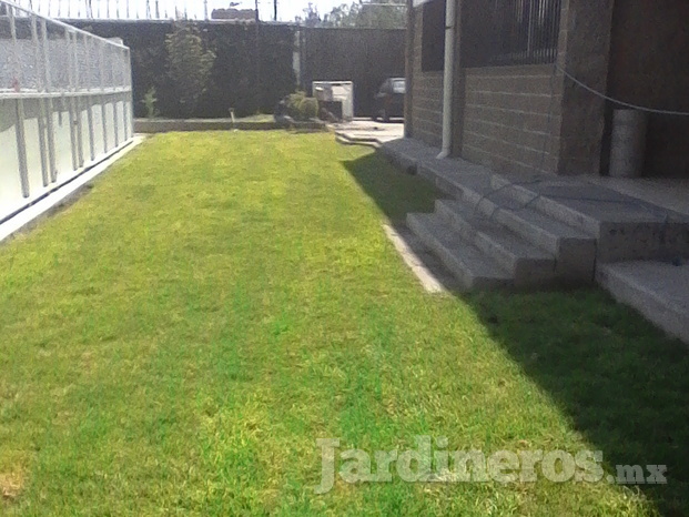 Jardinería Especializada Un Espacio Verde 