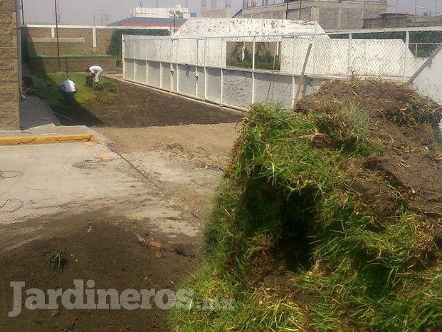 Jardinería Especializada Un Espacio Verde 