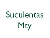 Suculentas Mty