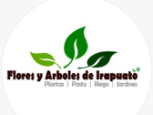 Flores y Arboles de Irapuato