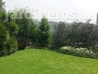 Jardín mixto con varios tipos de arboles y planta de arbusto