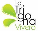 Vivero La Trigona