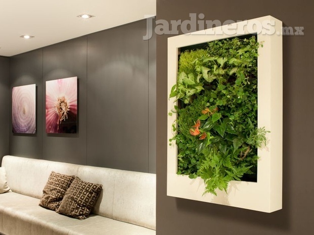 Decoración con jardines