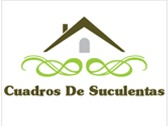 Cuadros De Suculentas