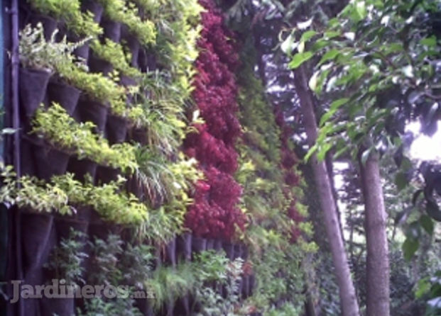 Ecología Y Jardinería