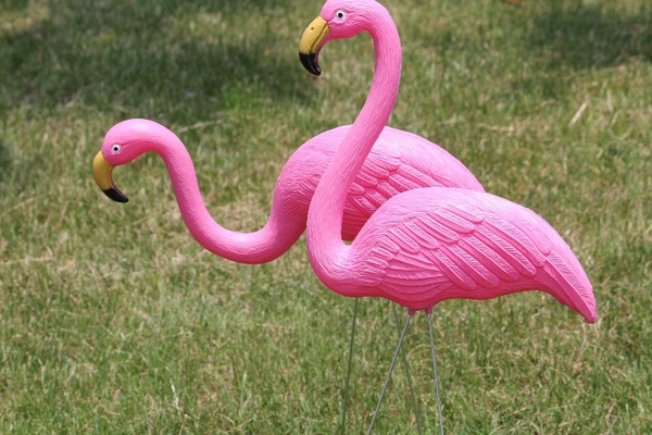 Flamencos de plástico